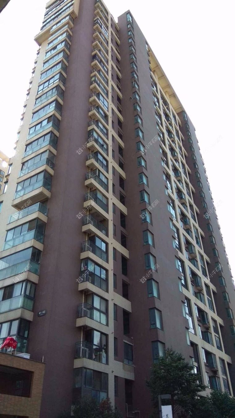 上海森林公馆东区实景图 上海森林公馆东区实景图