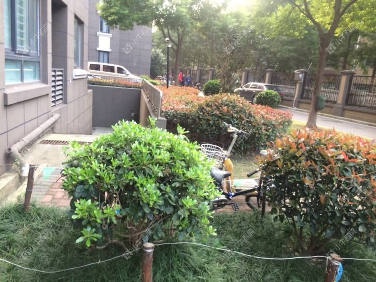 上海翔瑞新苑北区实景图
