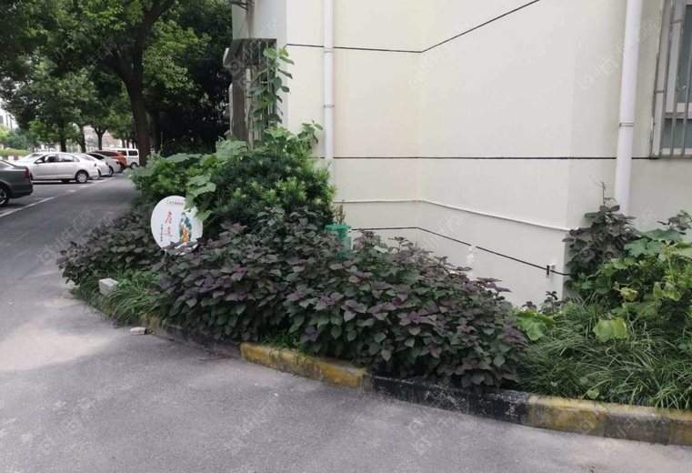 上海德华路226弄实景图