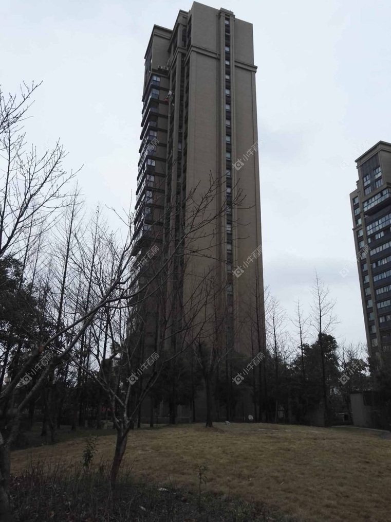 上海绿地清猗园二期实景图 上海绿地清猗园二期实景图