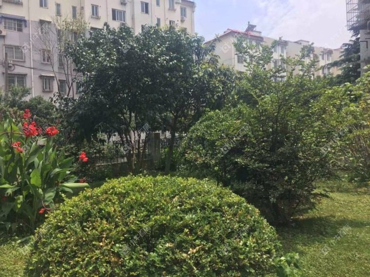 上海怡景花园实景图 上海怡景花园实景图