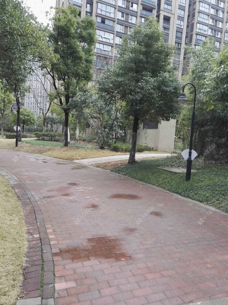 上海绿地清猗园二期实景图 上海绿地清猗园二期实景图