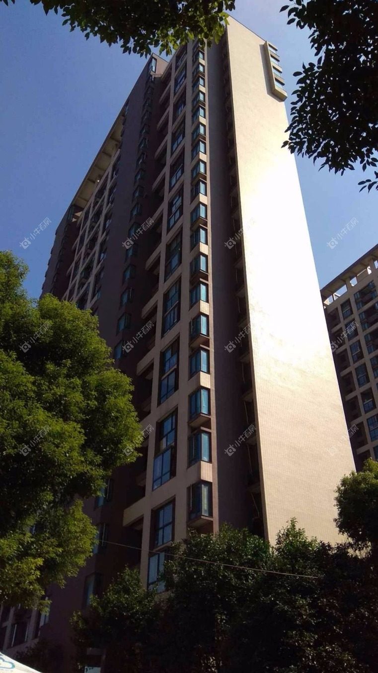 上海森林公馆东区实景图 上海森林公馆东区实景图