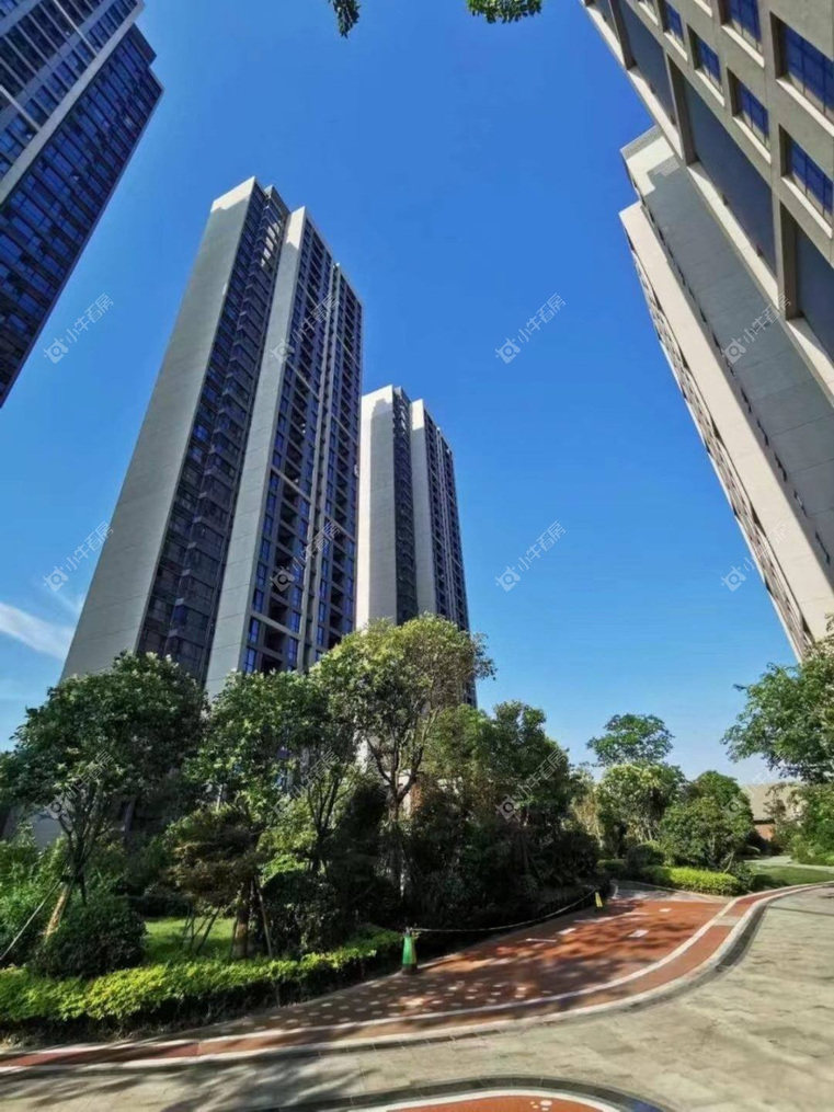 上海海伦堡爱ME城市实景图 上海海伦堡爱ME城市实景图