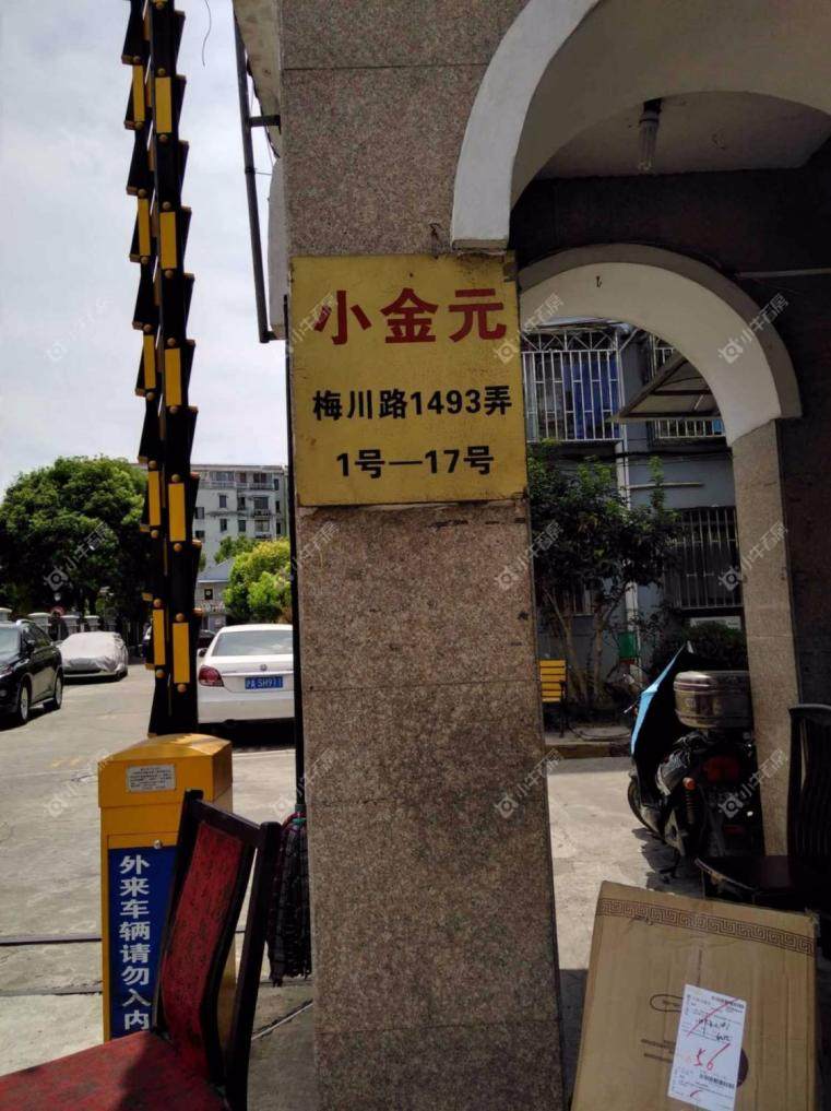 上海小金元实景图 上海小金元实景图