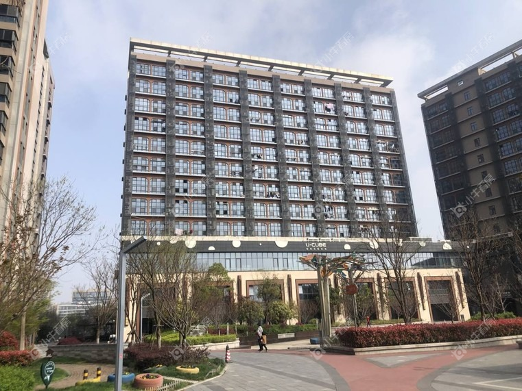 上海光明D9空间实景图 上海光明D9空间实景图