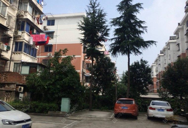 上海德园路328弄实景图 上海德园路328弄实景图