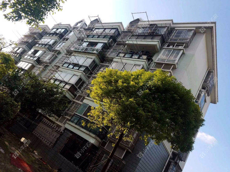 上海阳光苑二区实景图 上海阳光苑二区实景图