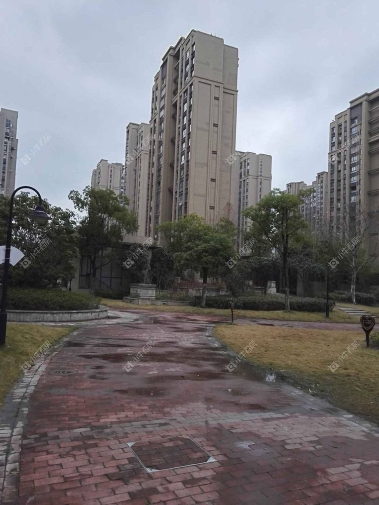 上海绿地清猗园二期实景图 上海绿地清猗园二期实景图