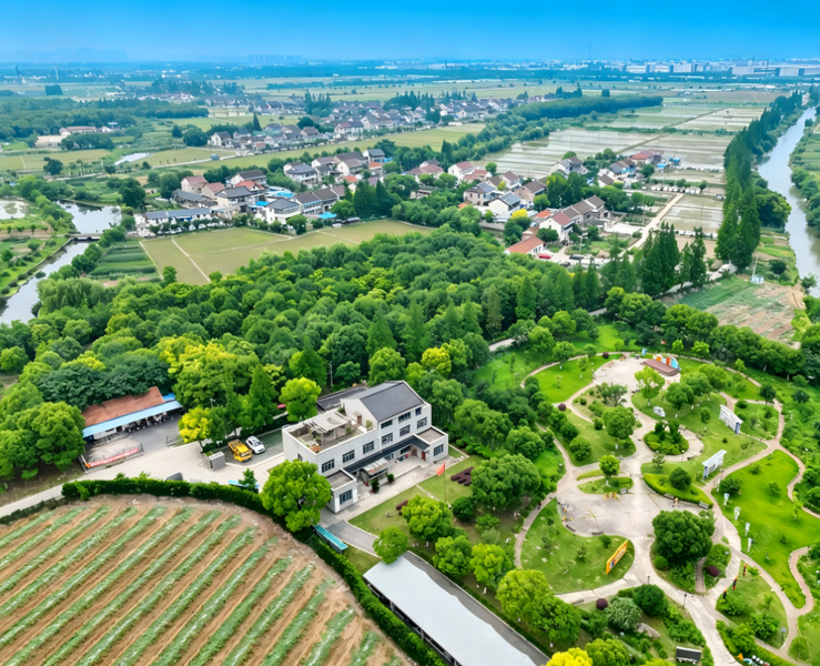上海旺泾村房屋怎么判断，先核权属再谈居住成本