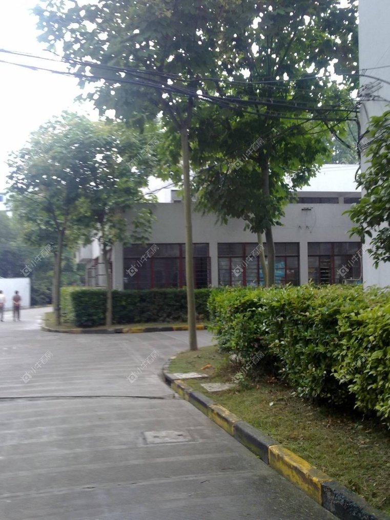 上海虹翔公寓实景图 上海虹翔公寓实景图