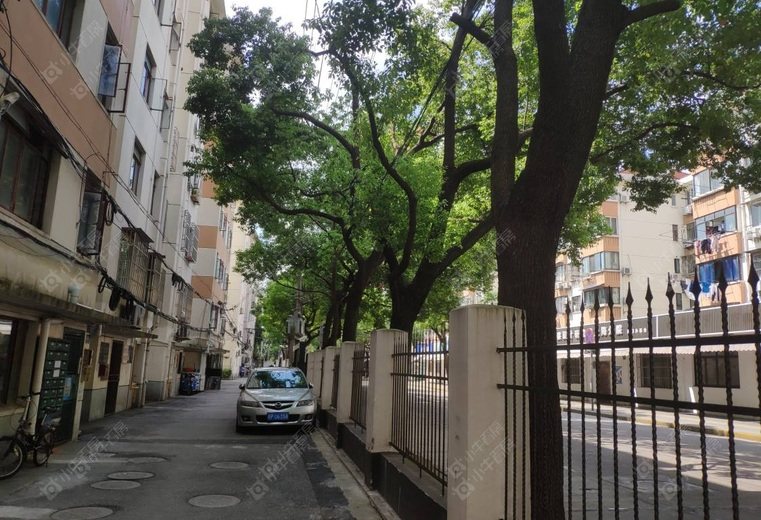 上海德华路实景图 上海德华路实景图
