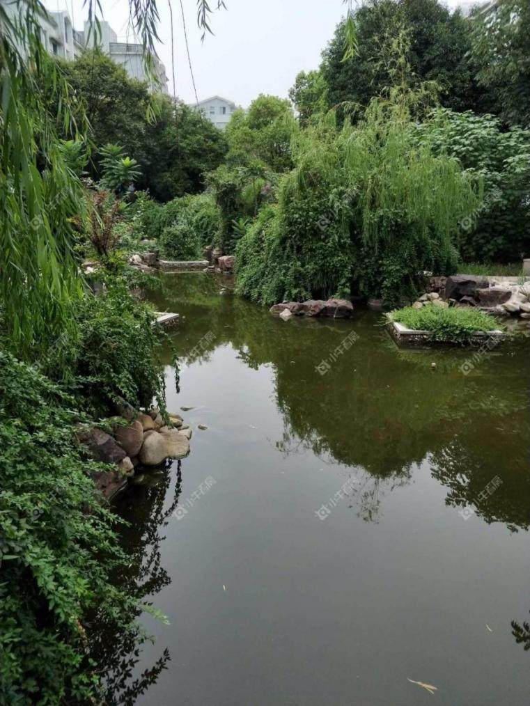 上海逸香园实景图