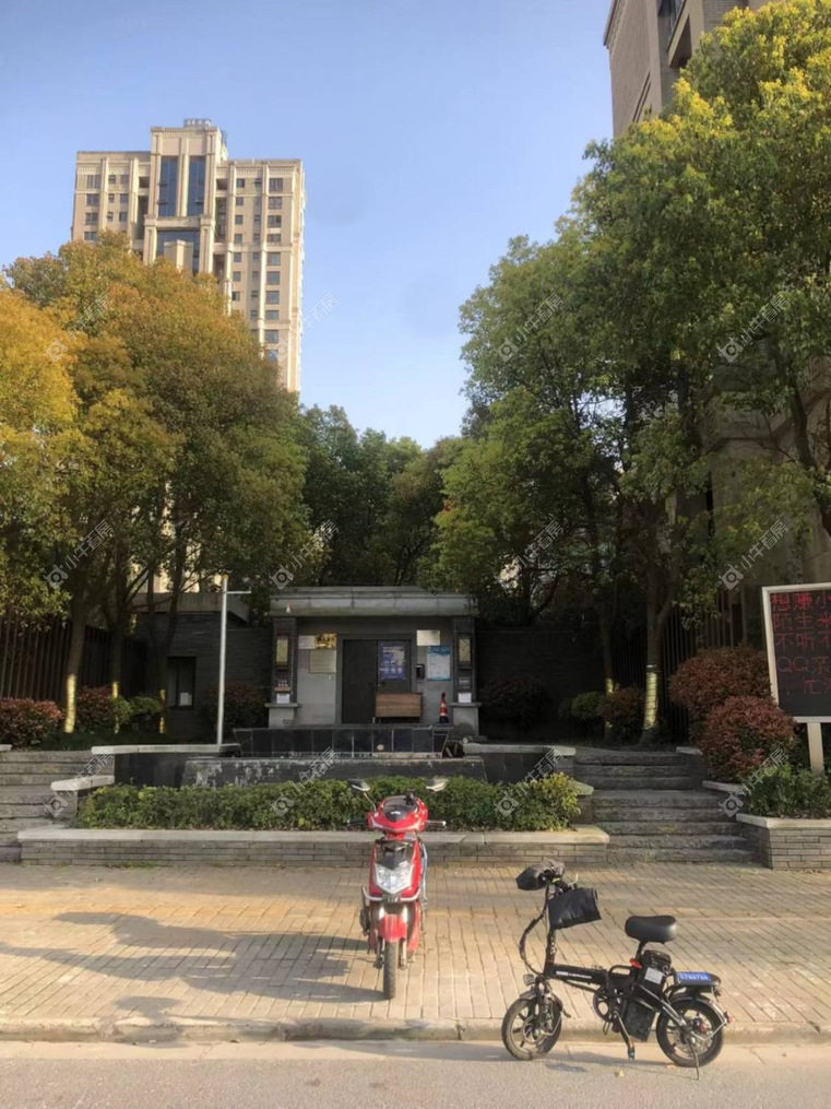 上海臻品嘉园别墅区实景图
