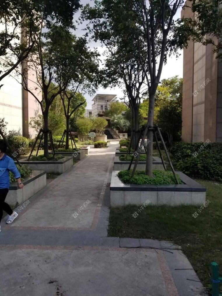 上海路劲翡丽湾实景图
