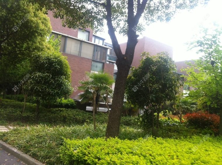 上海布鲁斯郡别墅区实景图 上海布鲁斯郡别墅区实景图