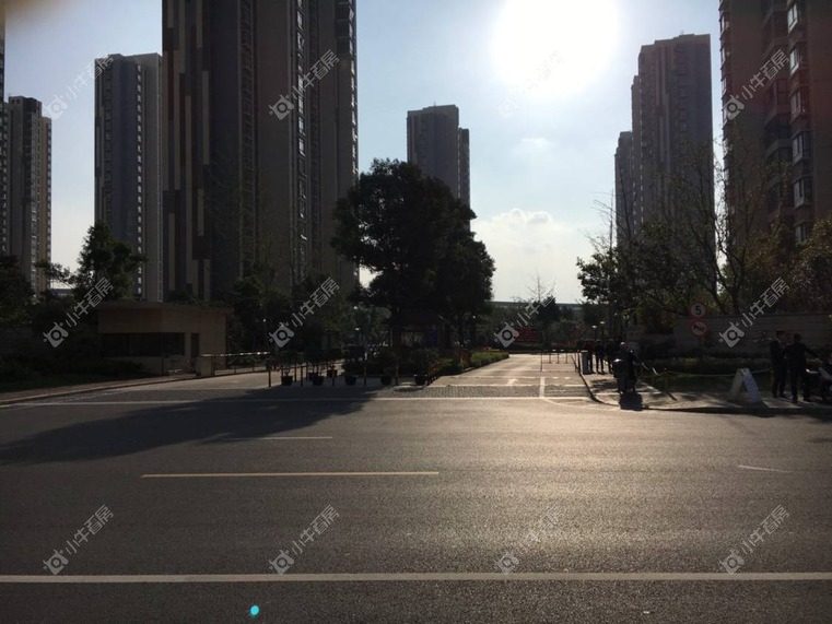 上海泰翔嘉苑实景图 上海泰翔嘉苑实景图