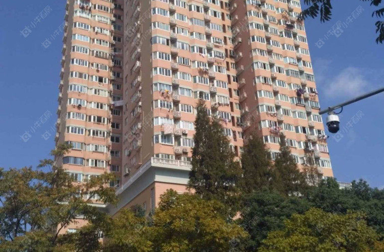 上海望江苑实景图 上海望江苑实景图