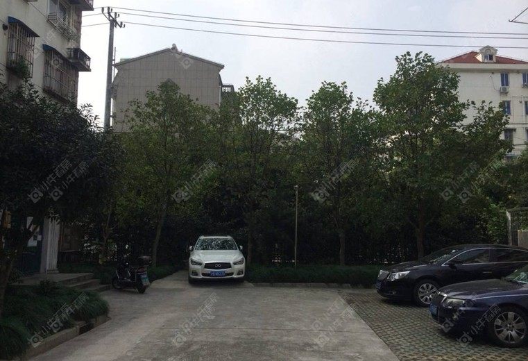 上海德园路328弄实景图 上海德园路328弄实景图