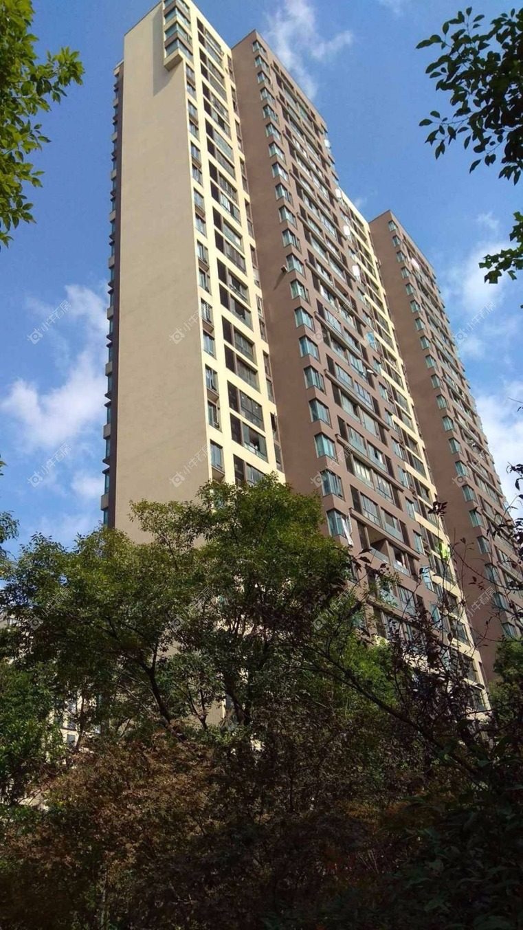 上海森林公馆西区实景图 上海森林公馆西区实景图
