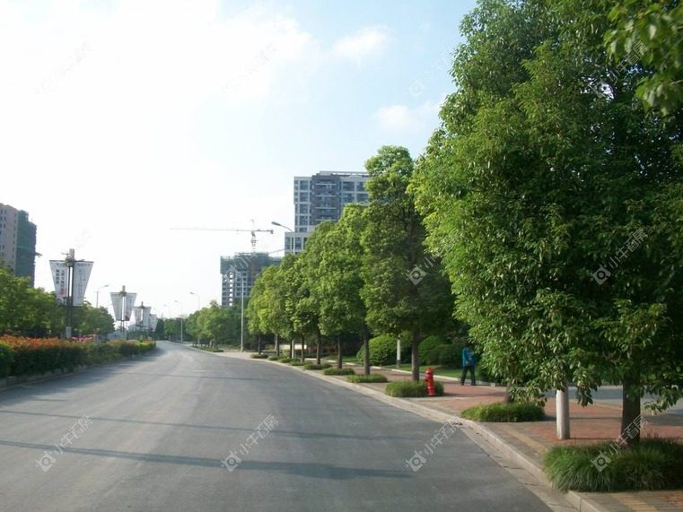 上海柯玛仕庄园别墅区实景图