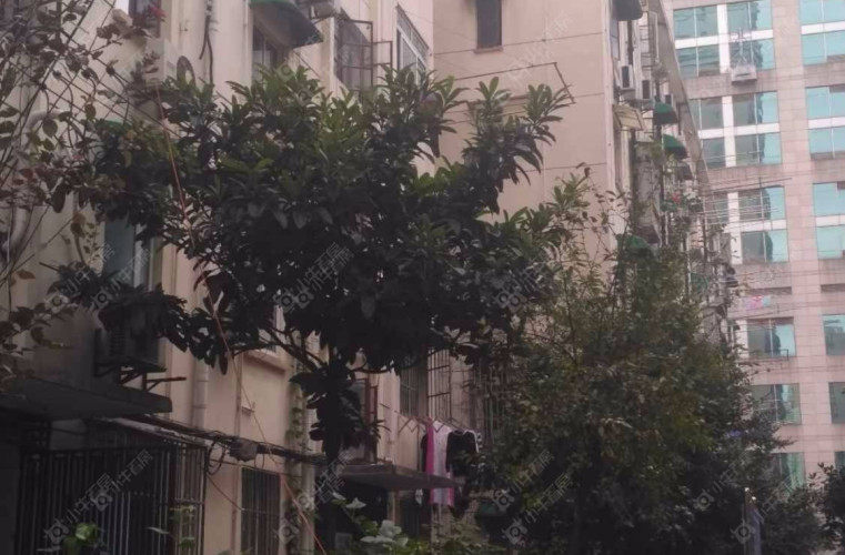 上海黄浦大同小区实景图 上海黄浦大同小区实景图