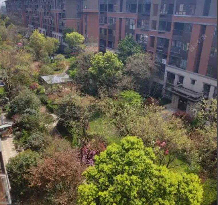 上海金地格林春晓实景图