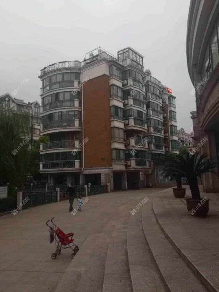 上海泰宸新苑实景图 上海泰宸新苑实景图