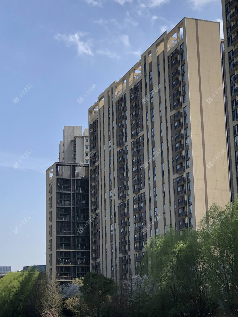 上海深城投十一街区东区实景图 上海深城投十一街区东区实景图