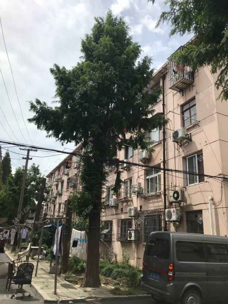 上海民主街24弄实景图 上海民主街24弄实景图
