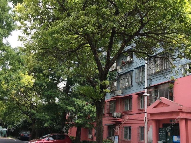 上海民主东街170弄学区怎么查，2026入学怎么核