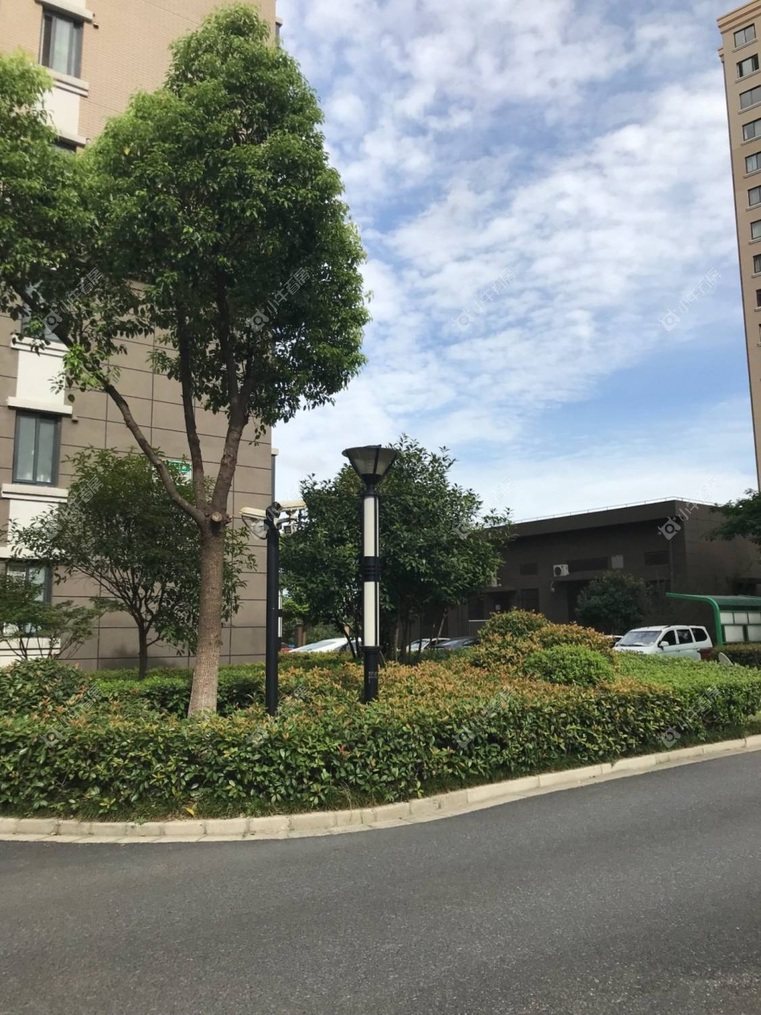 上海翔瑞新苑南区实景图 上海翔瑞新苑南区实景图