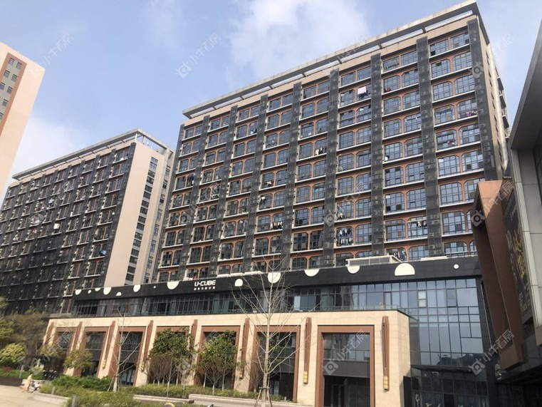 上海光明D9空间实景图 上海光明D9空间实景图