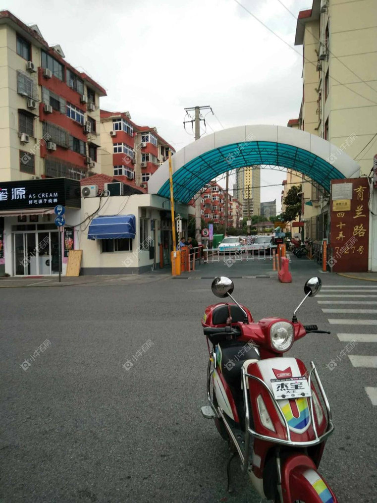 上海樱花新村实景图 上海樱花新村实景图