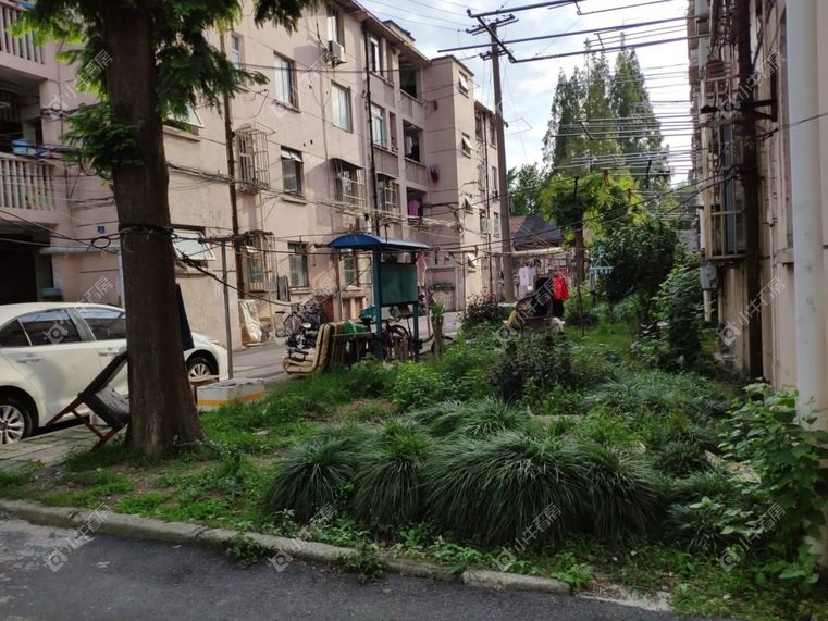 上海民主街32弄实景图