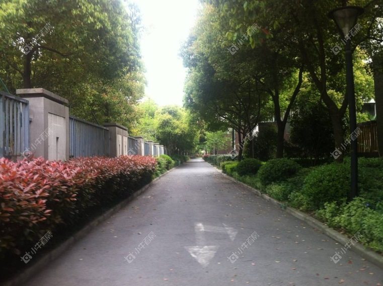 上海布鲁斯郡别墅区实景图 上海布鲁斯郡别墅区实景图