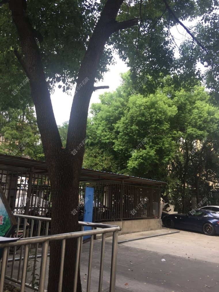 上海民主东街142弄实景图 上海民主东街142弄实景图