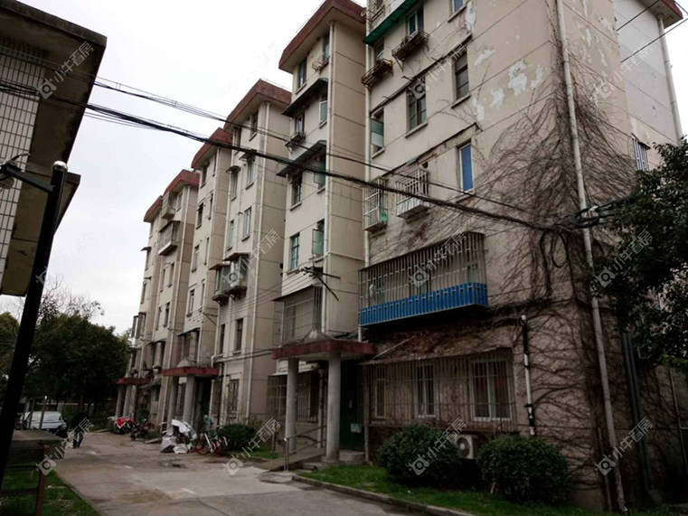 上海栅桥小区实景图 上海栅桥小区实景图