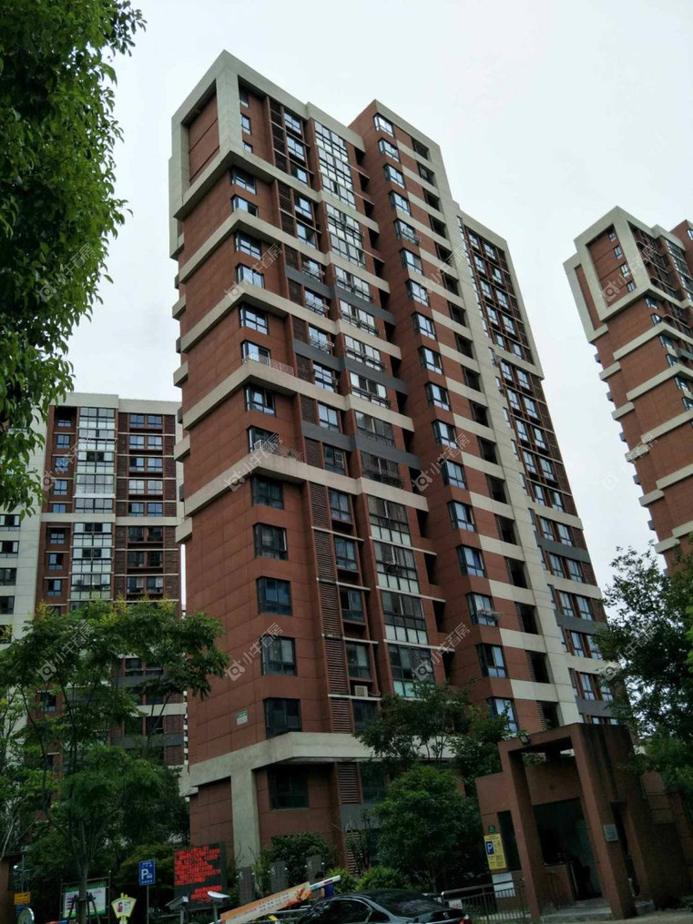 上海枫树林景苑北区实景图 上海枫树林景苑北区实景图