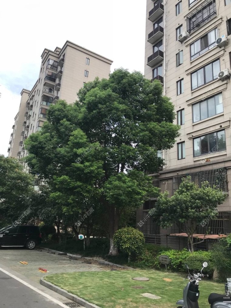 上海绿洲茗馨公寓实景图 上海绿洲茗馨公寓实景图