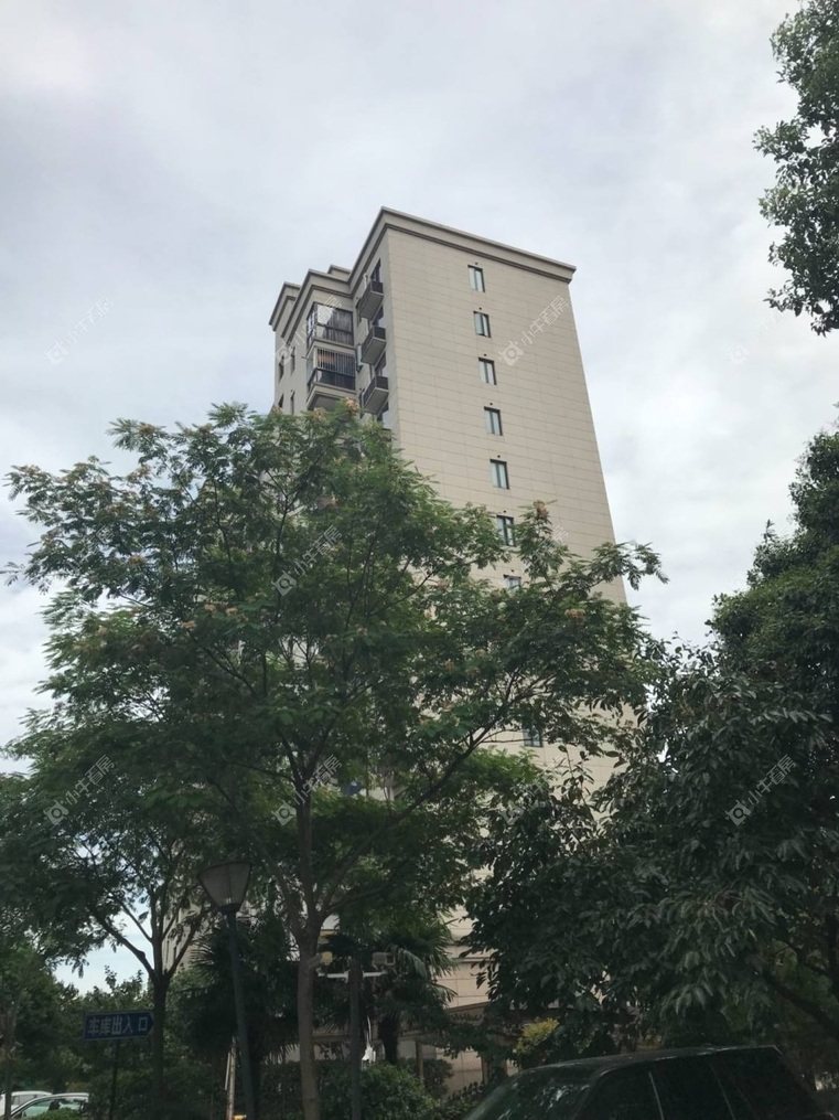 上海绿洲茗馨公寓实景图 上海绿洲茗馨公寓实景图