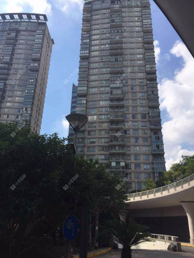 上海金外滩花园实景图 上海金外滩花园实景图