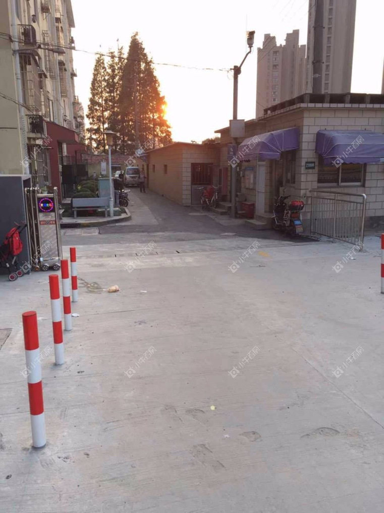 上海荷花小区实景图