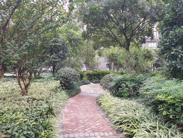 上海翔瑞新苑西区实景图