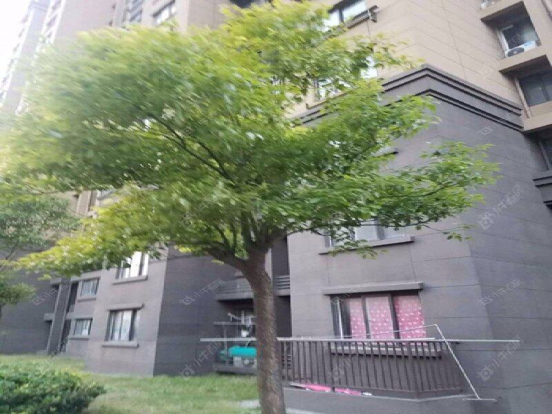 上海福莱锦苑适合老人住吗，楼道和就医动线需核