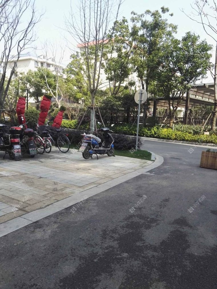 上海绿洲古猗新苑二期实景图 上海绿洲古猗新苑二期实景图