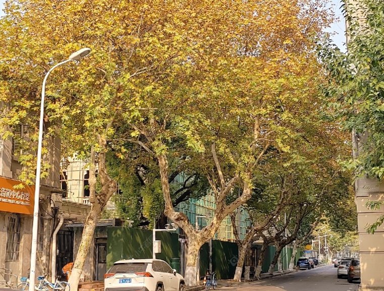 上海胜利街实景图 上海胜利街实景图