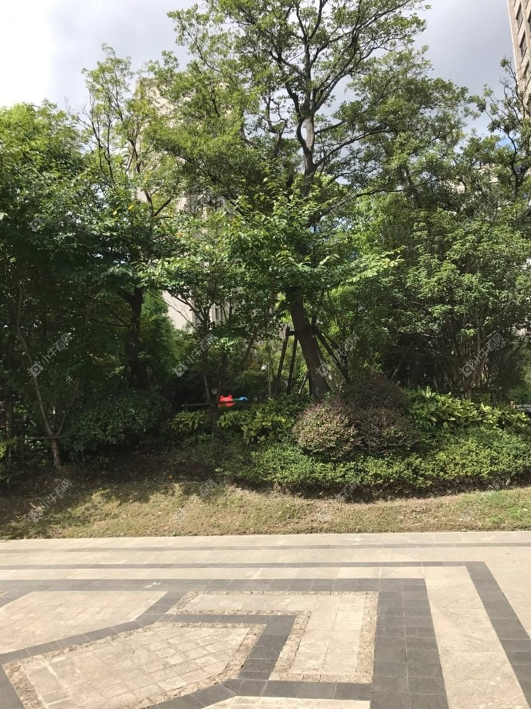 正文图2_宽761px 正文图2_宽761px