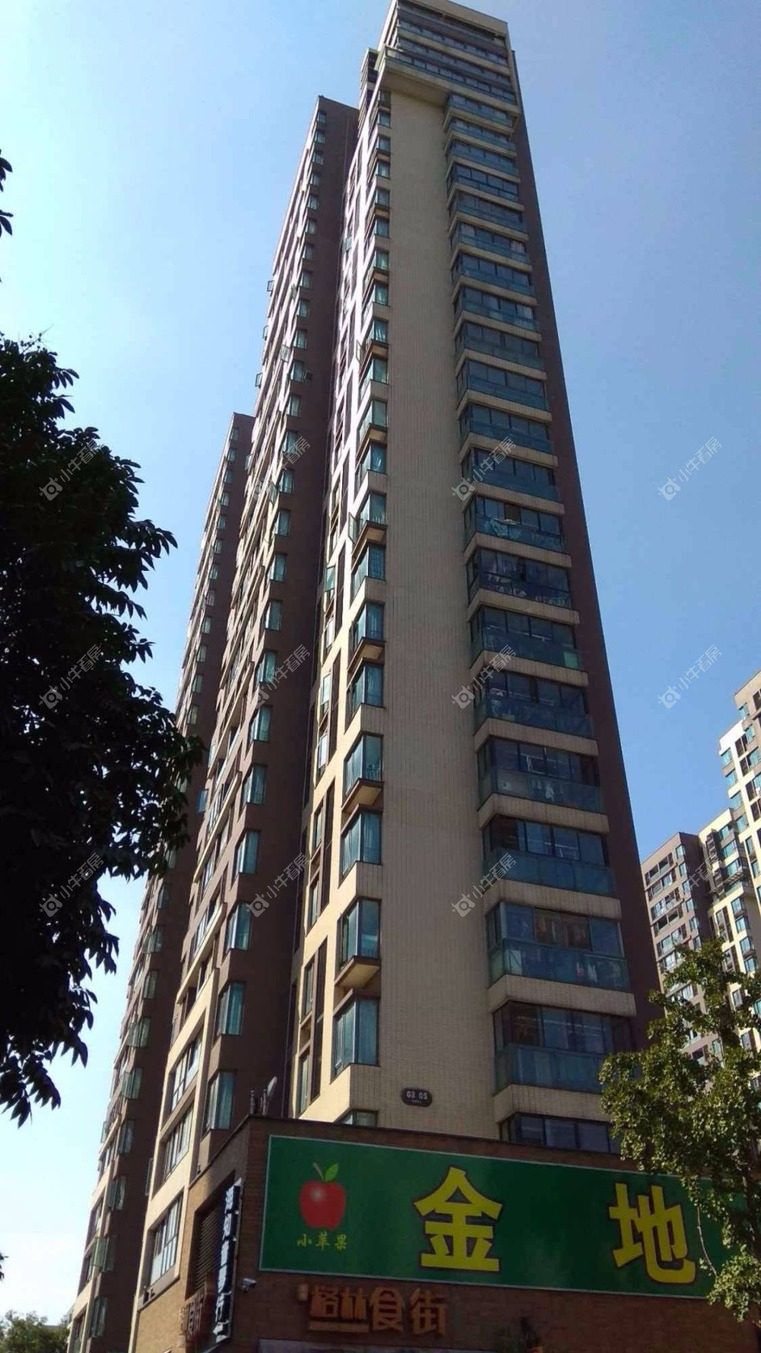 上海森林公馆东区实景图 上海森林公馆东区实景图