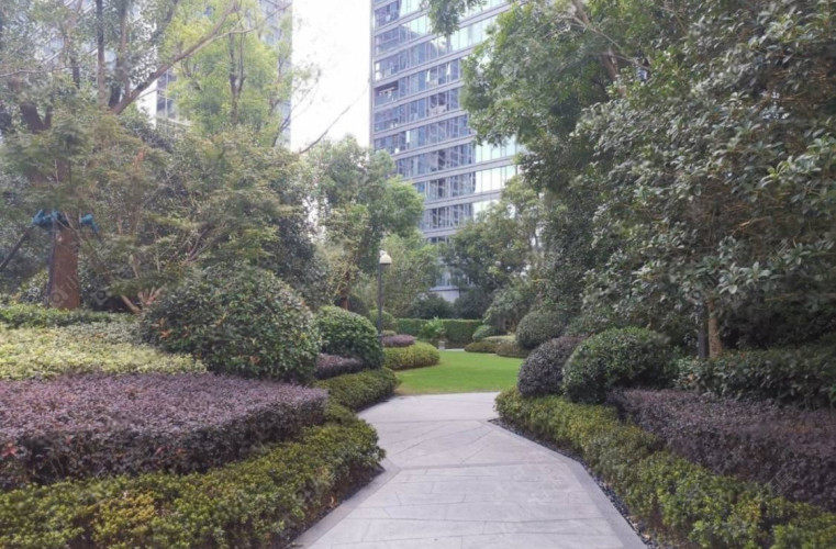 上海融创滨江壹号院实景图 上海融创滨江壹号院实景图